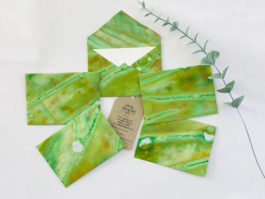 Chlorophyll, Take A Photo Envelopes | Peel & Seal Paper Envelopes + Gold Stickers | Deco Bottle Art by Maggie